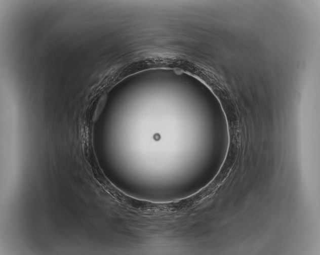 X0000116281061200912071146