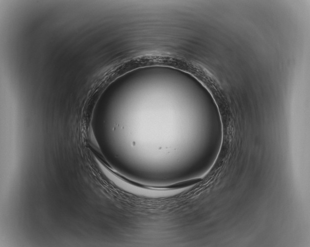 X0000116281062200912071146