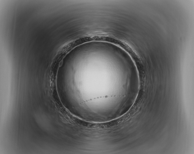 X0000116281063200912071146