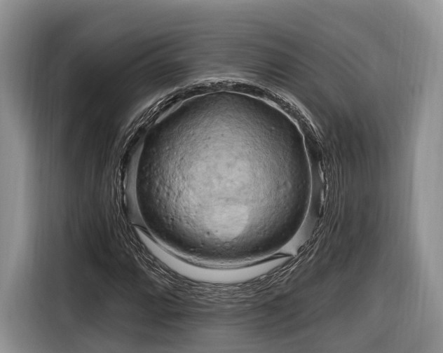 X0000116281064200912071145