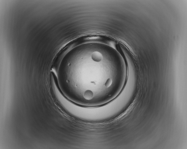 X0000116281065200912071145