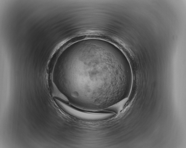 X0000116281066200912071145