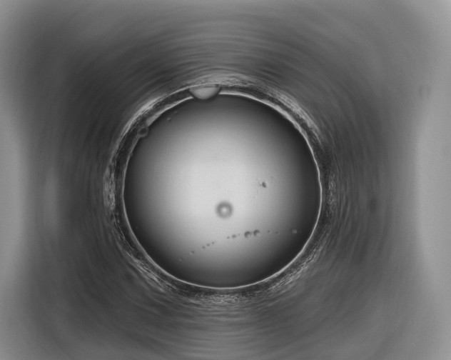 X0000116281067200912071145