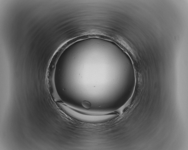X0000116281068200912071145