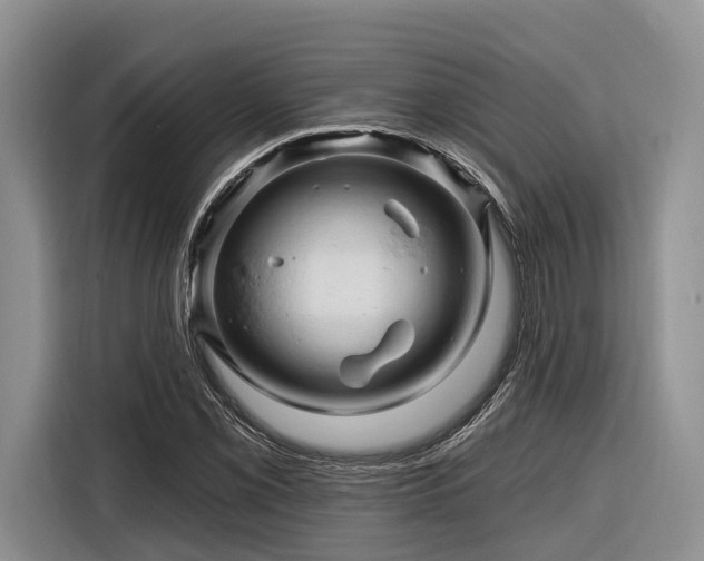 X0000116281069200912071145