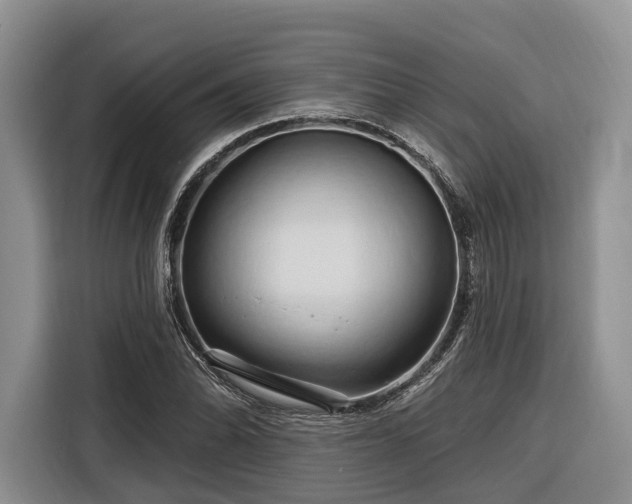 X0000116281070200912071145