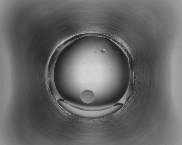 X0000116281072200912071145