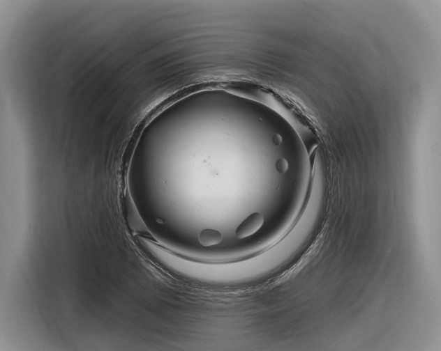 X0000116281073200912071145