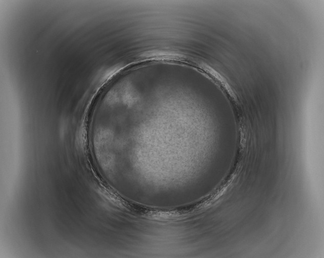 X0000116281074200912071145