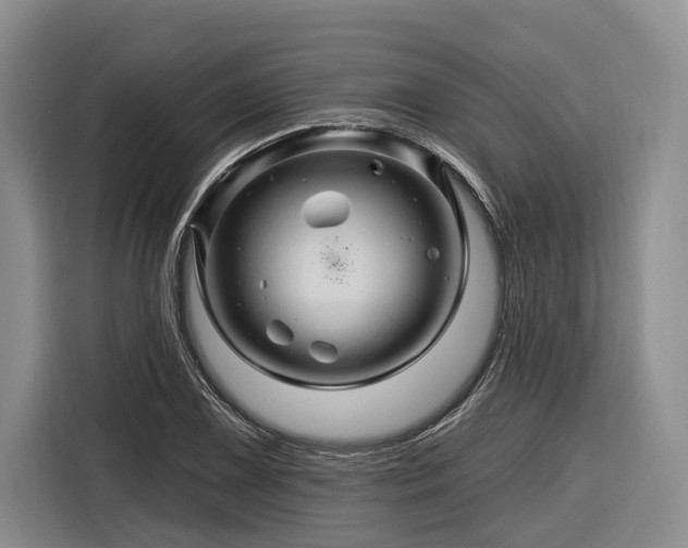 X0000116281075200912071145