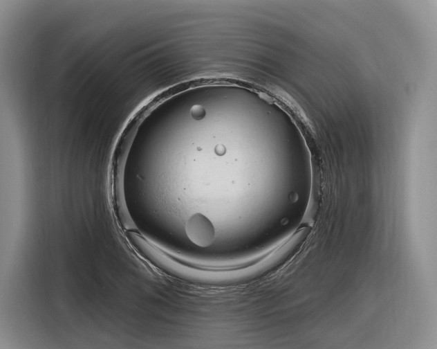 X0000116281076200912071145