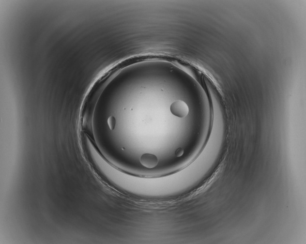 X0000116281077200912071145