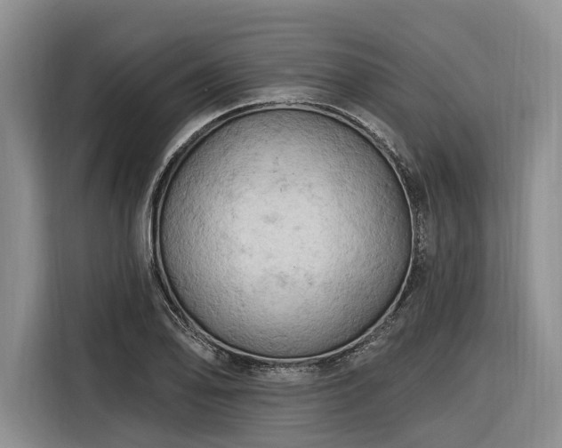 X0000116281078200912071145