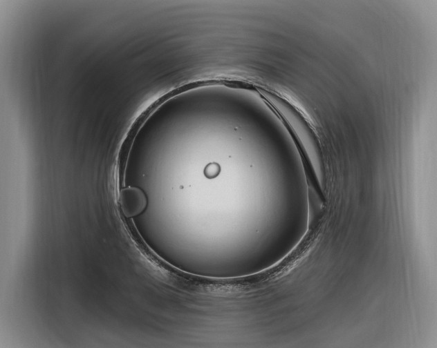 X0000116281079200912071145