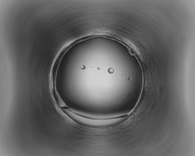 X0000116281080200912071145