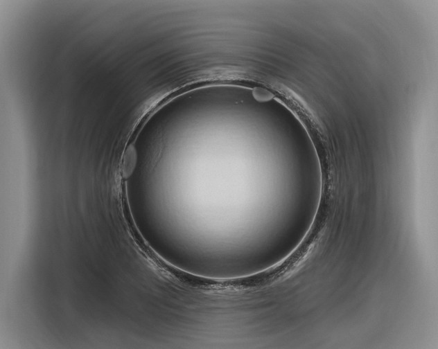 X0000116281081200912071145