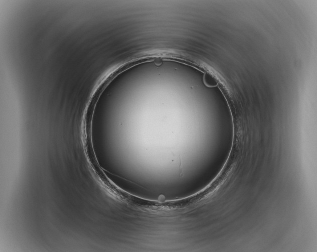 X0000116281082200912071145
