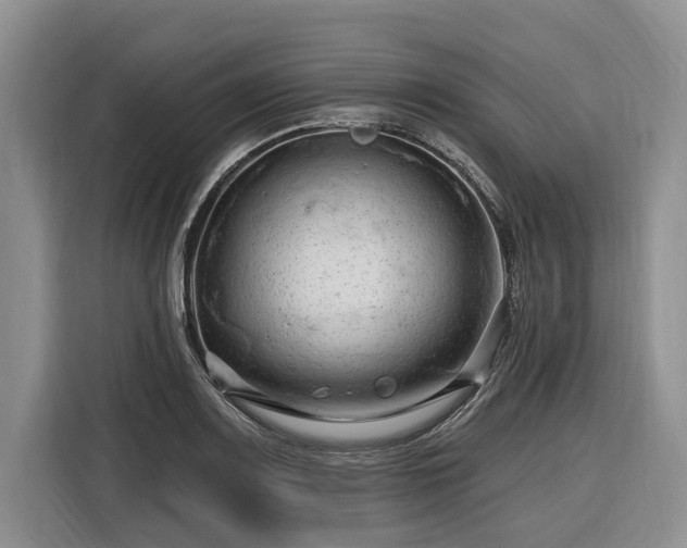 X0000116281083200912071145