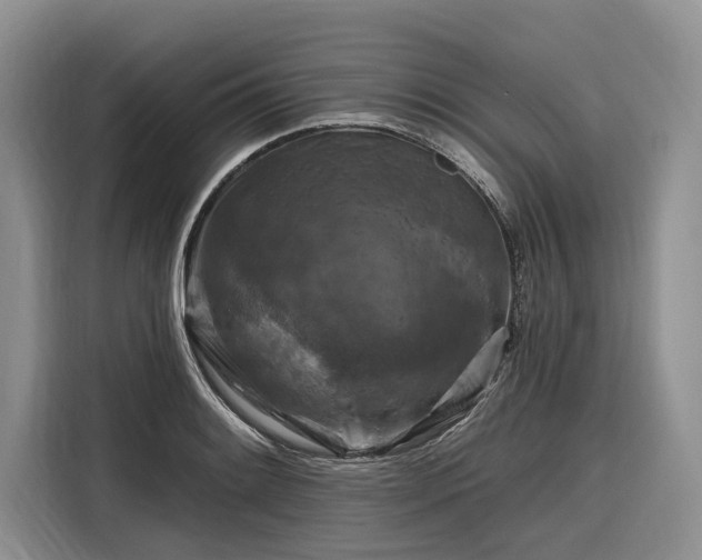 X0000116281084200912071145