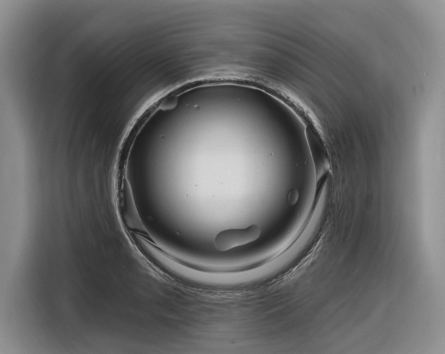X0000116281085200912071145