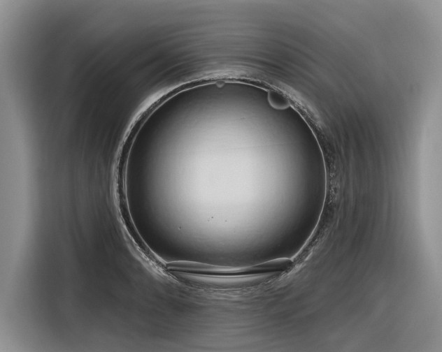 X0000116281086200912071145
