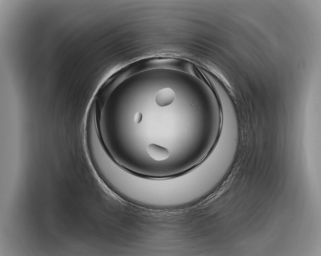 X0000116281087200912071145