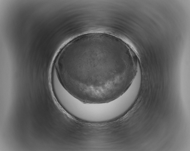 X0000116281088200912071145