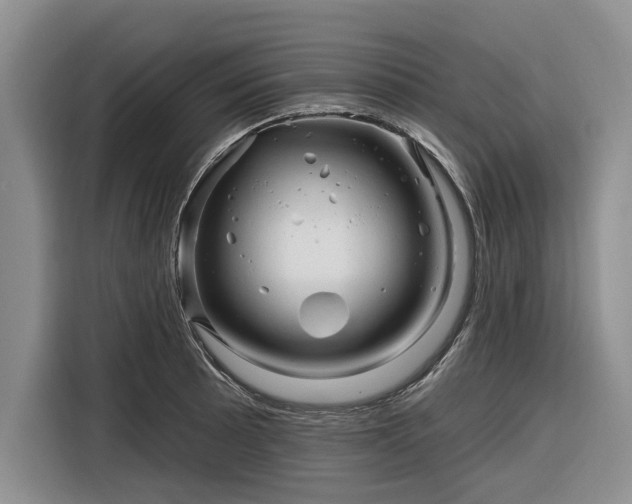 X0000116281089200912071145