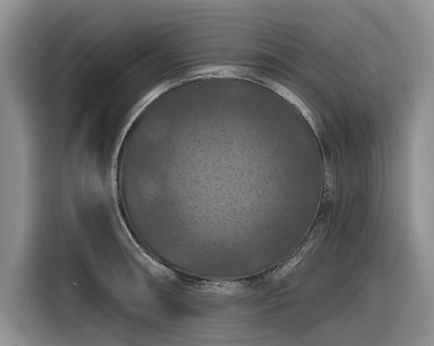 X0000116281090200912071145