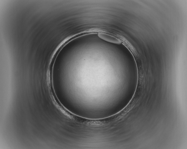 X0000116281092200912071145