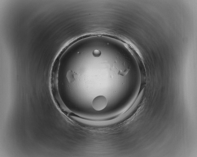 X0000116281093200912071145