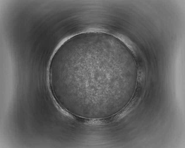 X0000116281094200912071145
