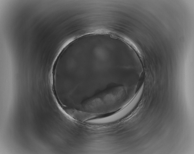 X0000116281095200912071145