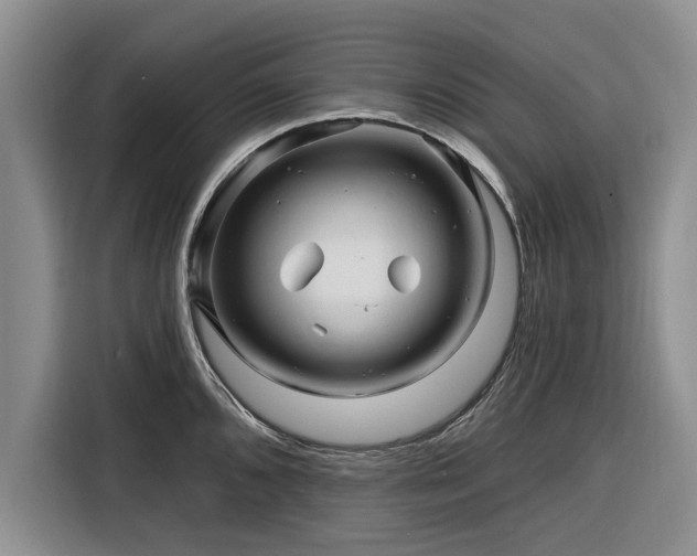 X0000116281096200912071145