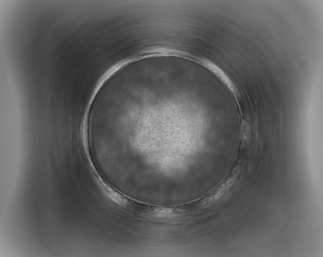 X0000116281098200912071145