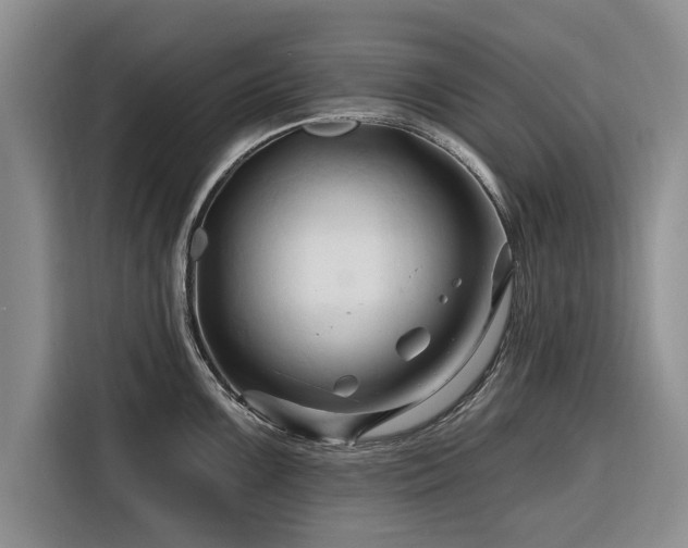 X0000116281099200912071145