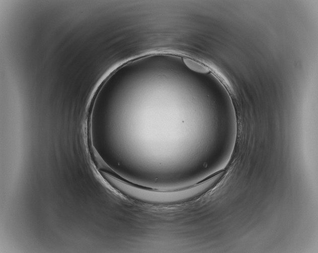 X0000116281100200912071145