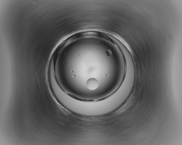 X0000116281101200912071145