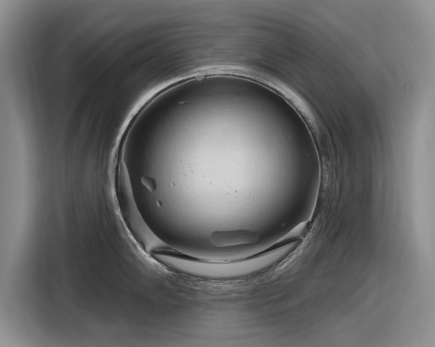 X0000116281102200912071145