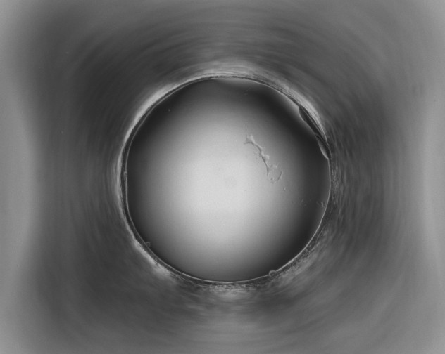 X0000116281103200912071145