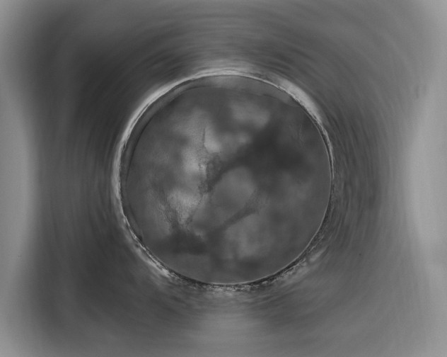 X0000116281104200912071145