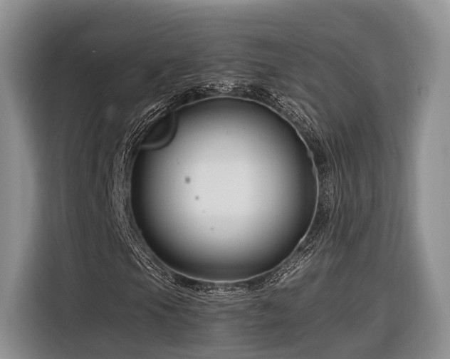 X0000116281105200912071144