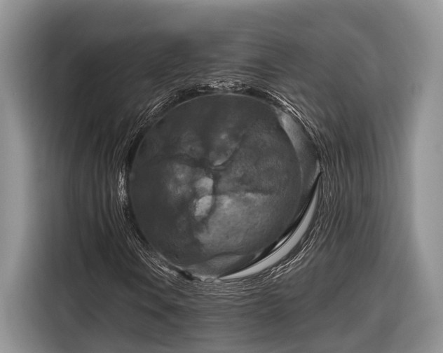 X0000116281106200912071144