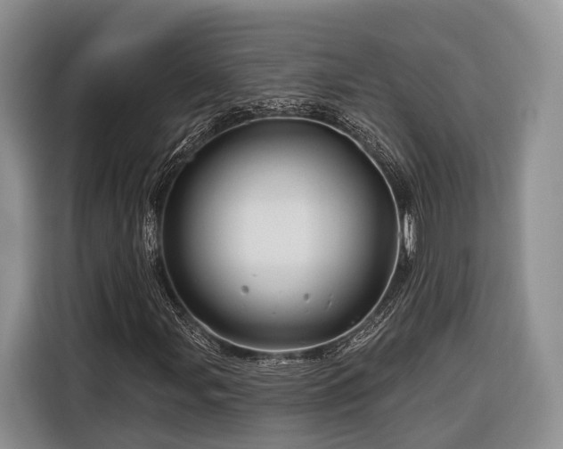 X0000116281107200912071144