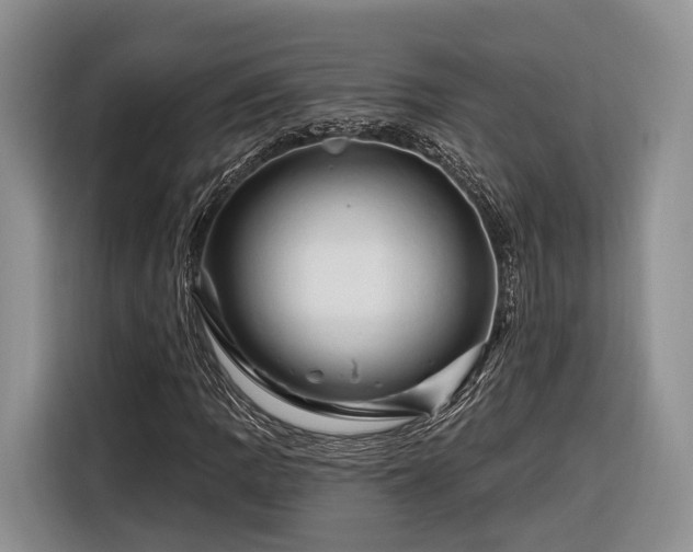 X0000116281109200912071144