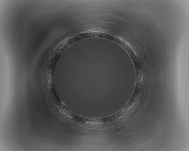 X0000116281110200912071144