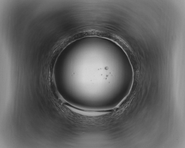 X0000116281111200912071144