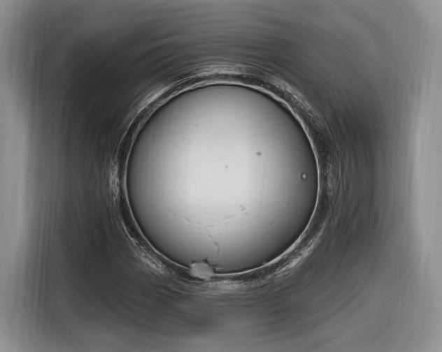X0000116281113200912071144