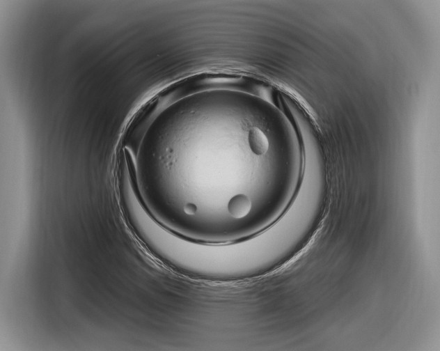X0000116281114200912071144