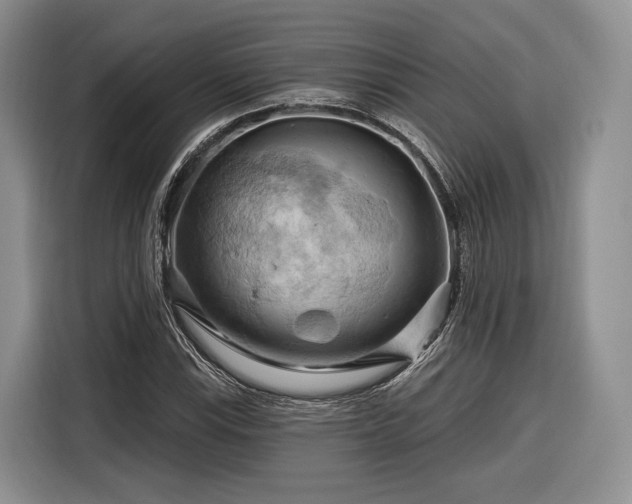 X0000116281115200912071144